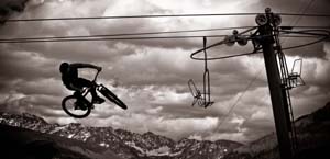 tmg_2010_Img2[1] copia.jpg